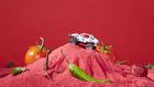 NASA Practices Space Gardening to Pack Lunchboxes for Mars