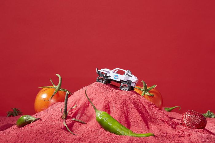 NASA Practices Space Gardening to Pack Lunchboxes for Mars