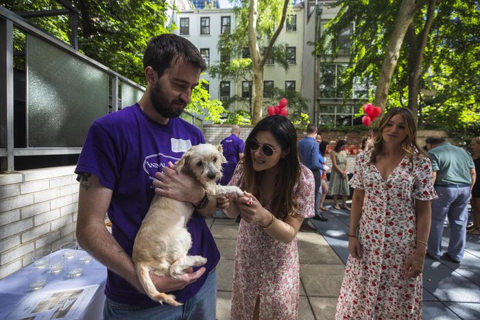 The Selling Power of Puppy Eyes