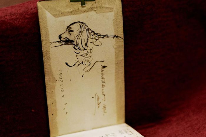 Treasures to Be Un-Hidden at New York Public Library