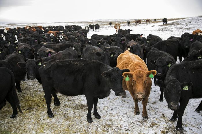 Abandoned America: The Hard Truths of Trying to 'Save' the Rural Economy