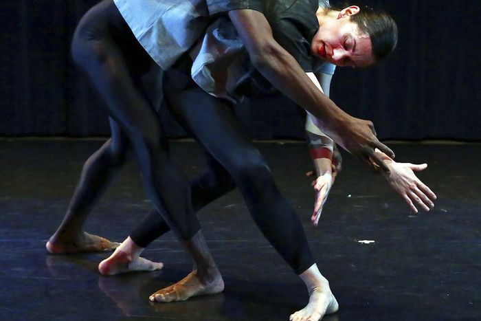 An Abundance of Cunningham at Harkness Festival