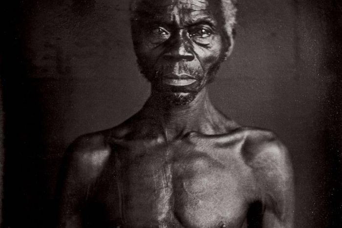 Who Should Own Photos of Slaves? The Descendants, Not Harvard, a Lawsuit Says