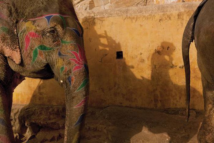 Shadowing the elephant in the room