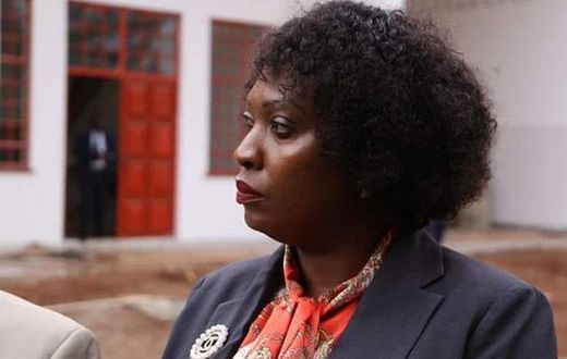 Anne Mwenda's vetting stopped by court