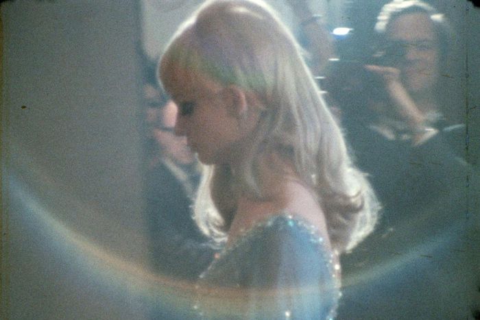 Queer Cinema Seen as Bridge to Future