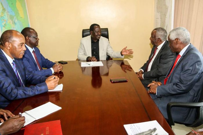 UN official Roselyn Akombe throws shade at Raila Odinga over meeting with Mt Kenya leaders