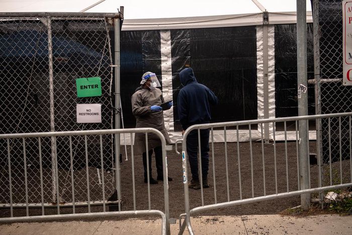 1 in 5 New Yorkers May Have Had COVID-19, Antibody Tests Suggest