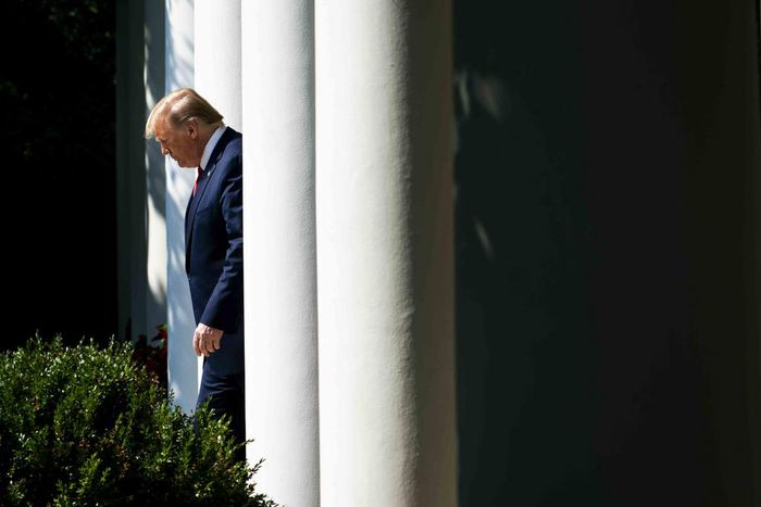 Trump Grants Clemency to 7 Men in Cases Dating Back Decades