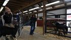 Lessons Learned, by Way of a Barn