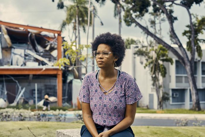 A Rooted Passion for Puerto Rico