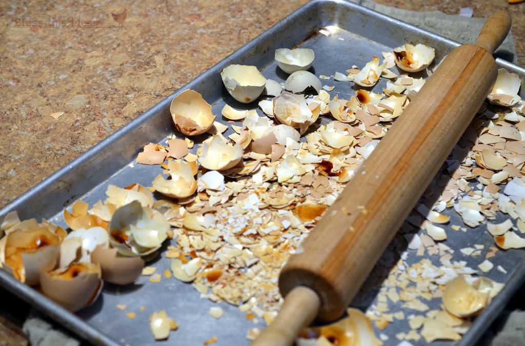 Feeding chicken(Bless This Mess)