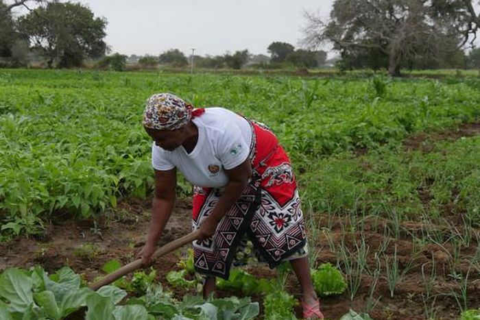 African Development Bank Group (AfDB)