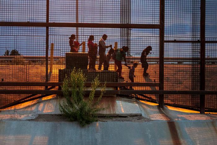 Top Immigration Judge Departs Amid Broader Discontent Over Trump Policies