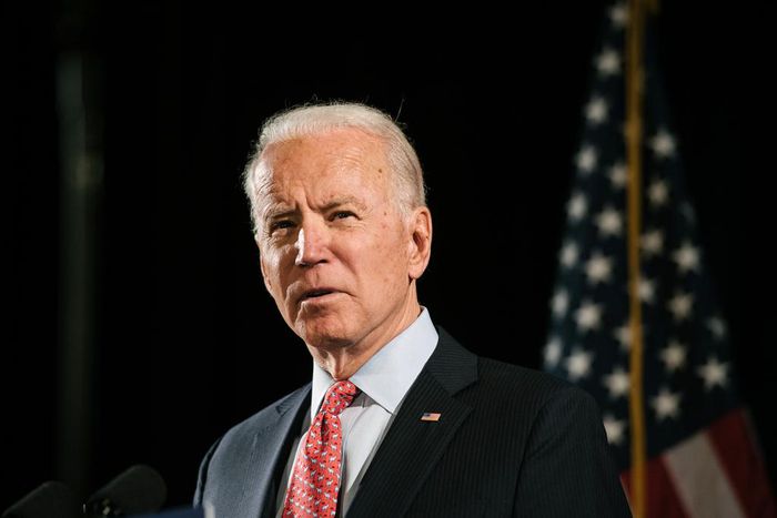 Biden, Courting Liberals, Backs Tuition-Free College for Some Students