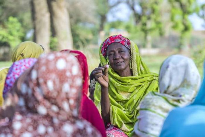 Food and Agriculture Organization (FAO)