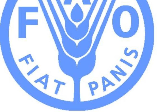 Food and Agriculture Organization (FAO)