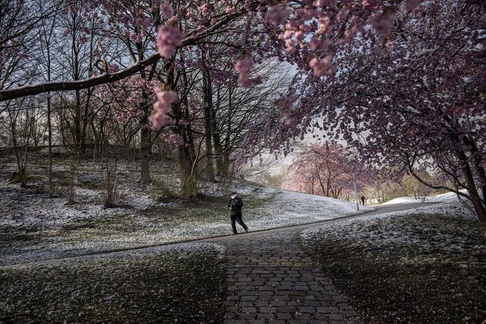 Germany Bans Groups of More Than 2 to Stop Coronavirus as Merkel Self-Isolates