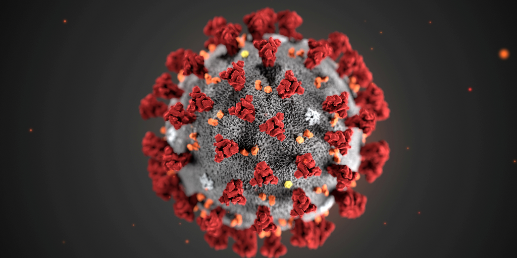 The ultrastructural morphology exhibited by the 2019 Novel Coronavirus (2019-nCoV), which was identified as the cause of an outbreak of respiratory illness first detected in Wuhan, China, is seen in an illustration released by the Centers for Disease C...