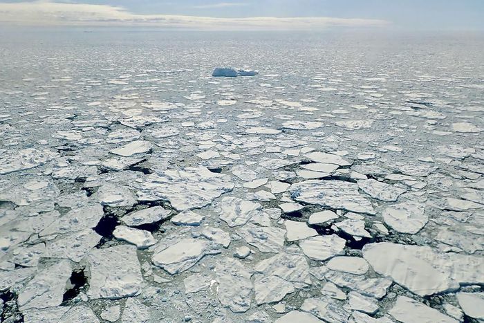 Warming in Arctic Raises Fears of a 'Rapid Unraveling' of the Region