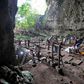 An ancient human species is discovered in a Philippine cave