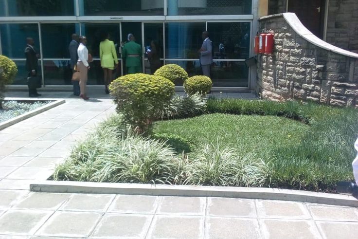 Singer Akothee at parliament with Nominated MP David Sankok