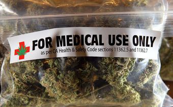 Can marijuana help cure the opioid crisis?