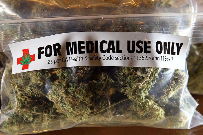 Can marijuana help cure the opioid crisis?