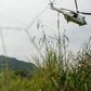 ___9131563___2018___11___23___8___monusco-helicopter-573433-1170x610