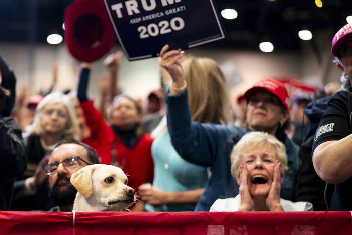 Could the 2020 Election Be Postponed? Only With Great Difficulty.