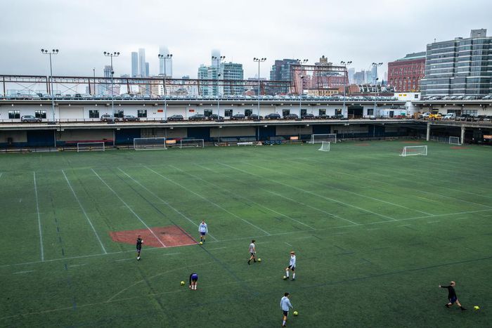 Are Parks for Strolling or Sports? In New York, It's Complicated.
