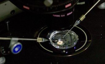 WHO panel demands a registry for human gene editing