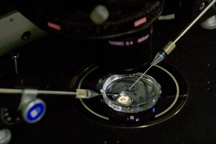 WHO panel demands a registry for human gene editing