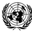 United Nations Office for Project Services (UNOPS)