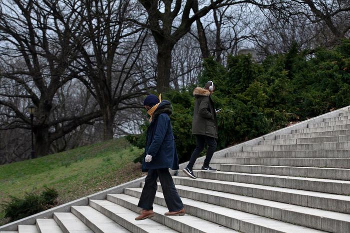 How We Use Our Bodies to Navigate a Pandemic