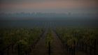 California Fires Thousands Evacuated; Governor Declares State of Emergency
