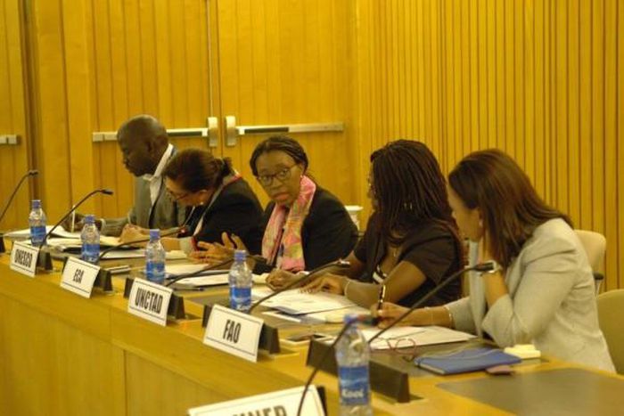 United Nations Economic Commission for Africa (ECA)