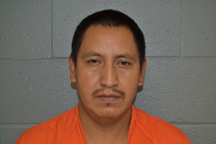 Ex-Laborer Pleads Guilty in 2015 Murder of Lois Colley, Westchester Socialite