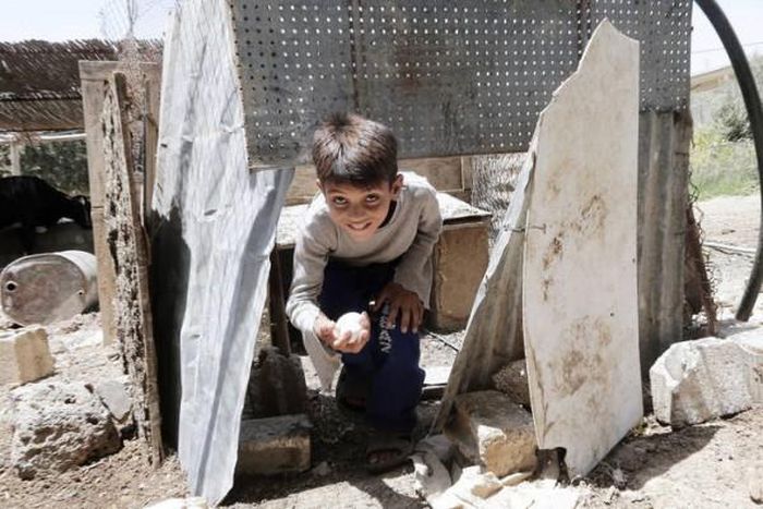 Food and Agriculture Organization (FAO)