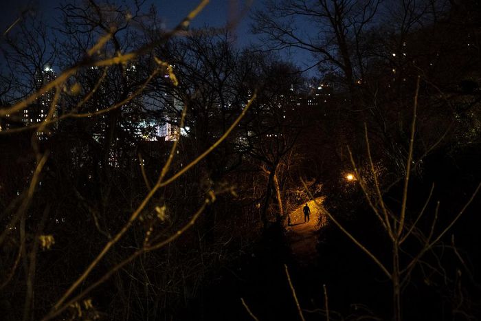 Sex in New York City Parks? It's Less of a Thing Than It Used to Be