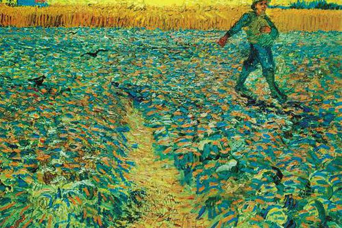 Into the woods, with Vincent