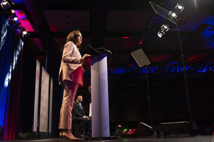 Pragmatism, Not Ideology, Defines Harris