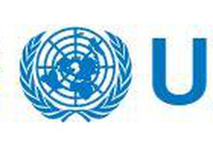 African Union-United Nations Mission in Darfur (UNAMID)