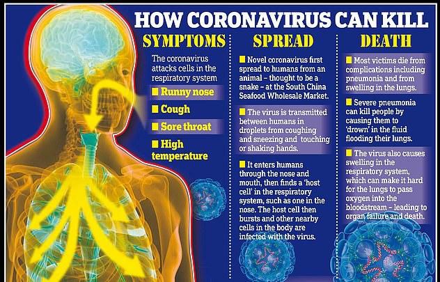All you need to know about coronavirus (dailymail)