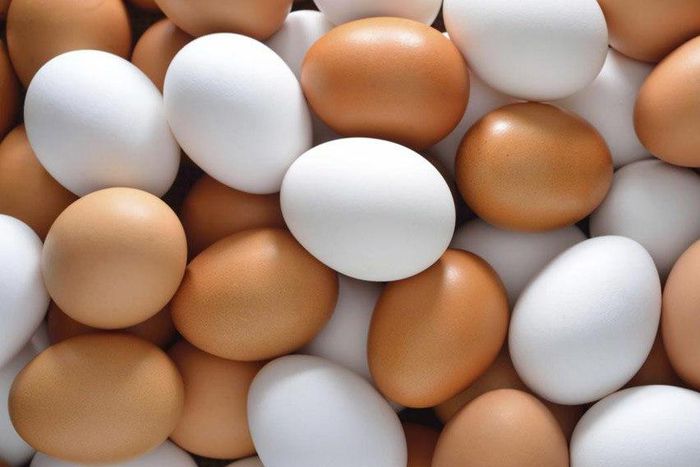 ___9045582___2018___10___30___12___eggs