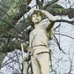 Ole Miss student government and faculty cast unanimous votes to relocate confederate statue