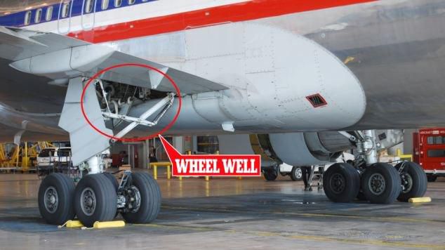 A plane's wheel where, the most common hiding place for stowaways