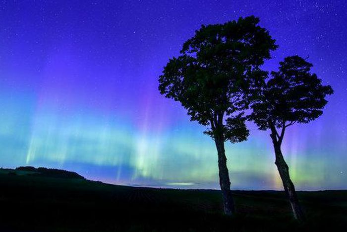 Sexual Assault on Flights Experts Recommend Ways to Stay Safe and Combat It