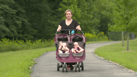 Twins in stroller (Giphy)