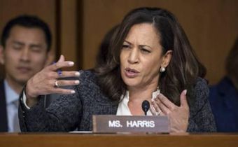 Kamala Harris has entered the 2020 Democratic race and here's who else is running